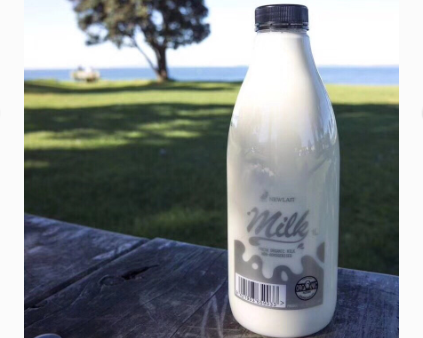 纯牛奶可以加热吗？新西兰纯牛奶好喝吗？